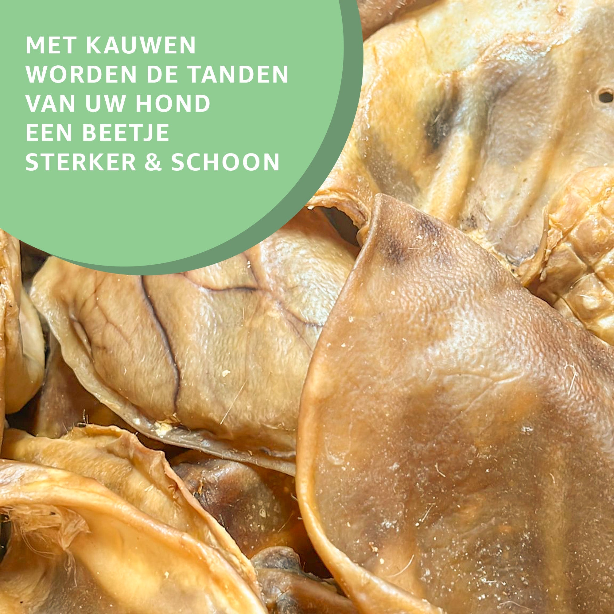 Mega varkensoren XXL