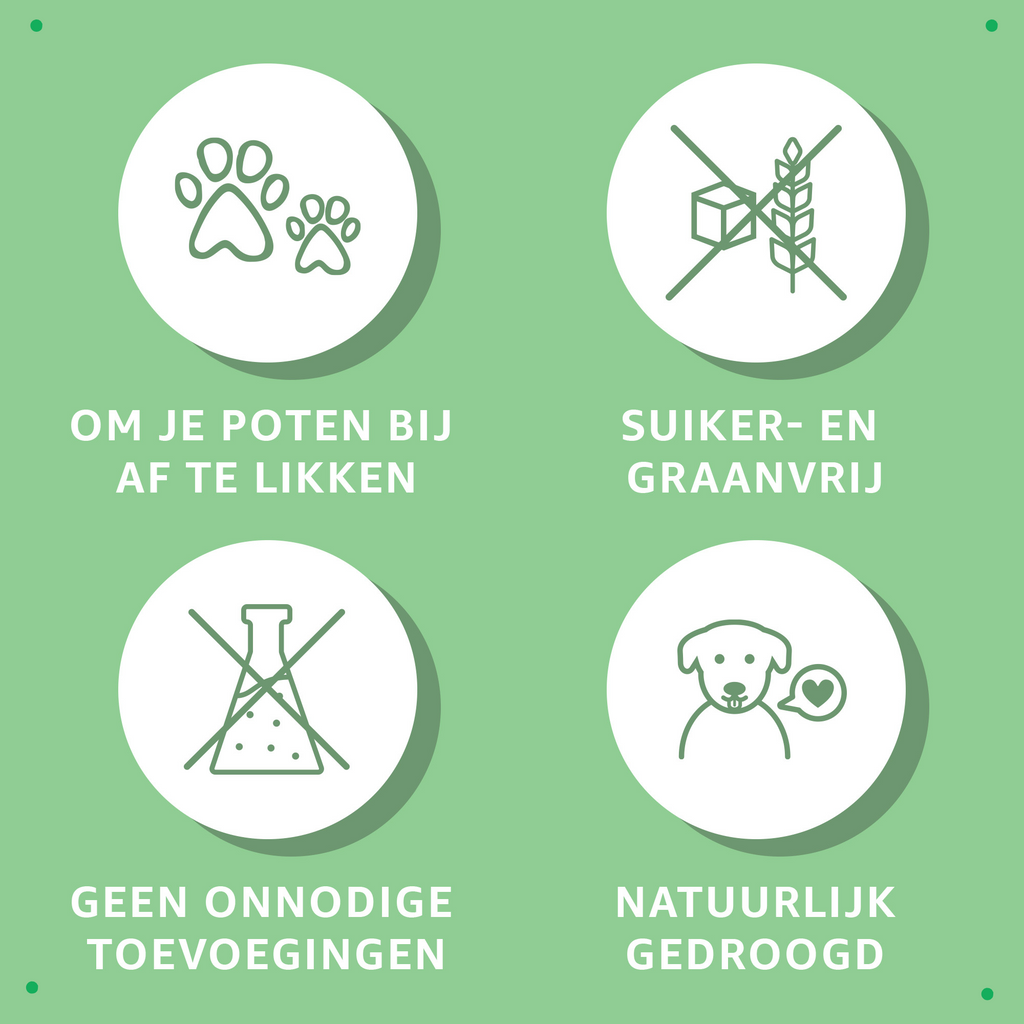 Try-Out Trainers Snackbox