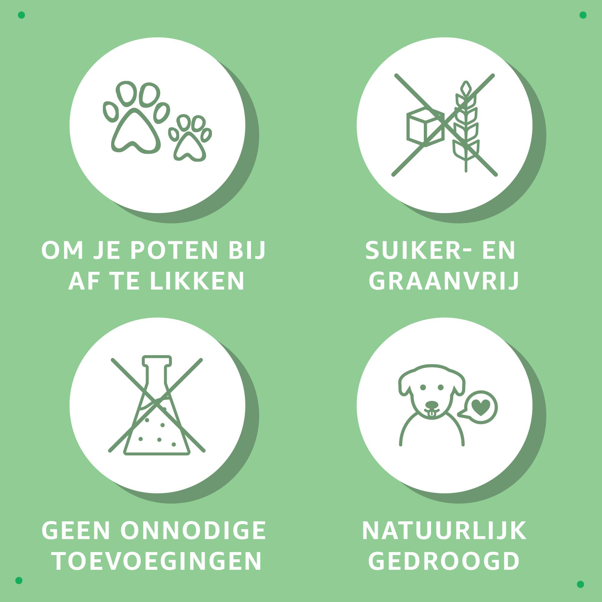 Try-Out Trainers Snackbox