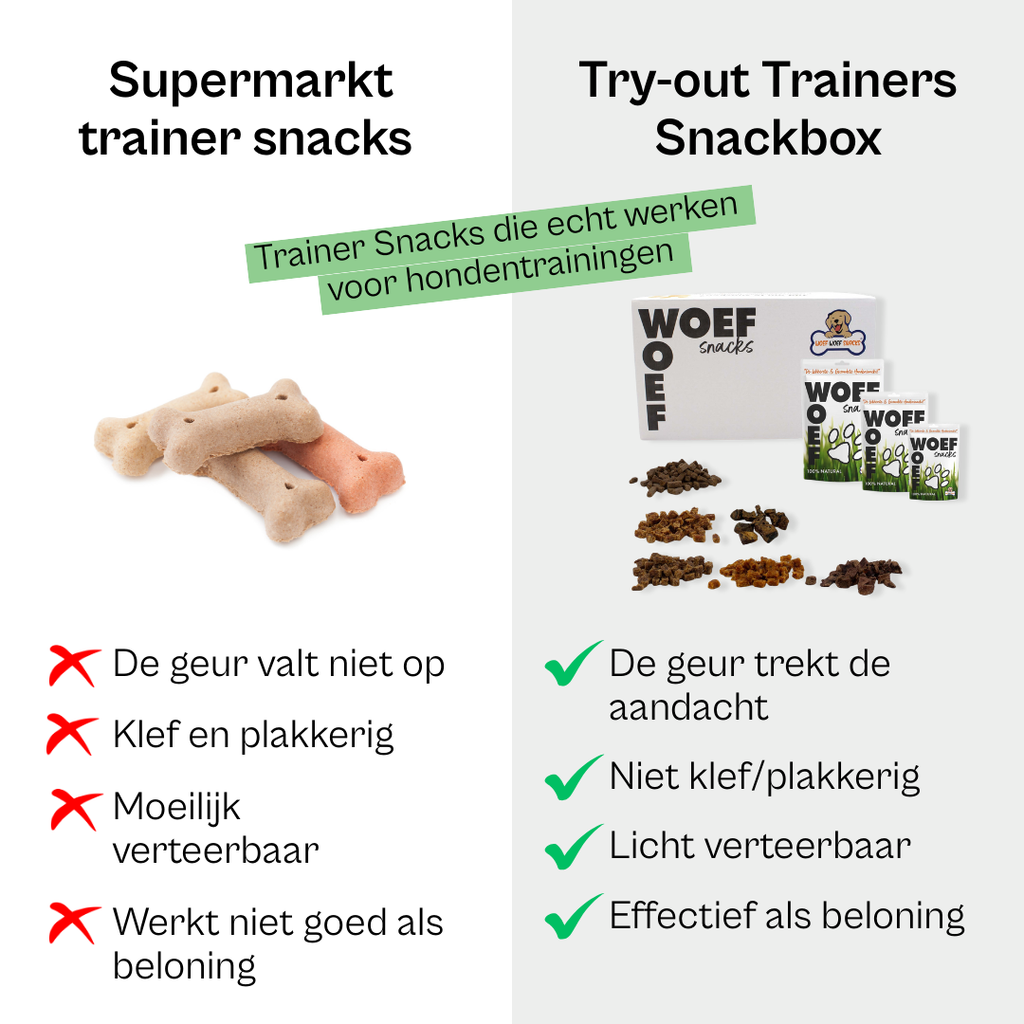 Try-Out Trainers Snackbox