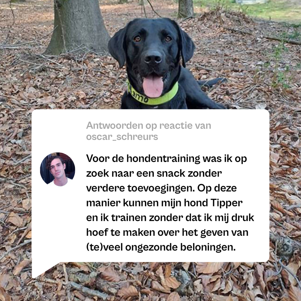 Try-Out Trainers Snackbox